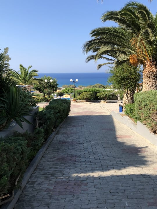 Garten Kakkos Terra Blu-Adults only