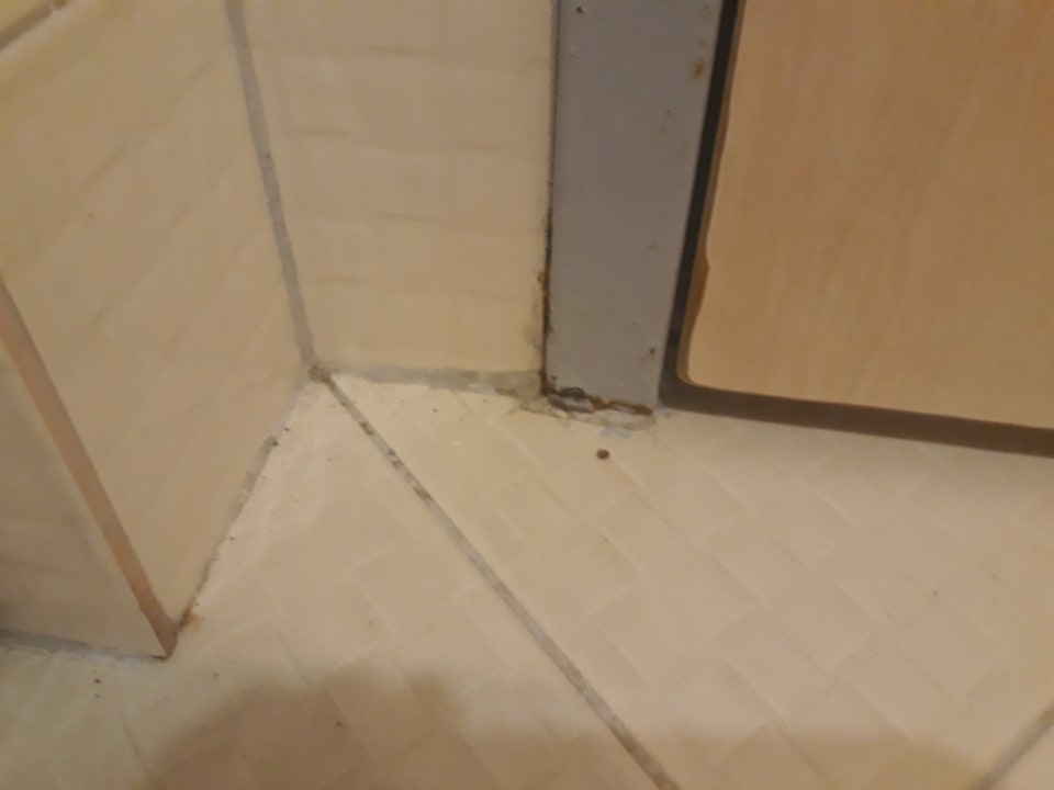 Zimmer Starlight Resort Hotel