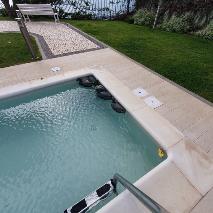 Pool Hotel Golden Residence