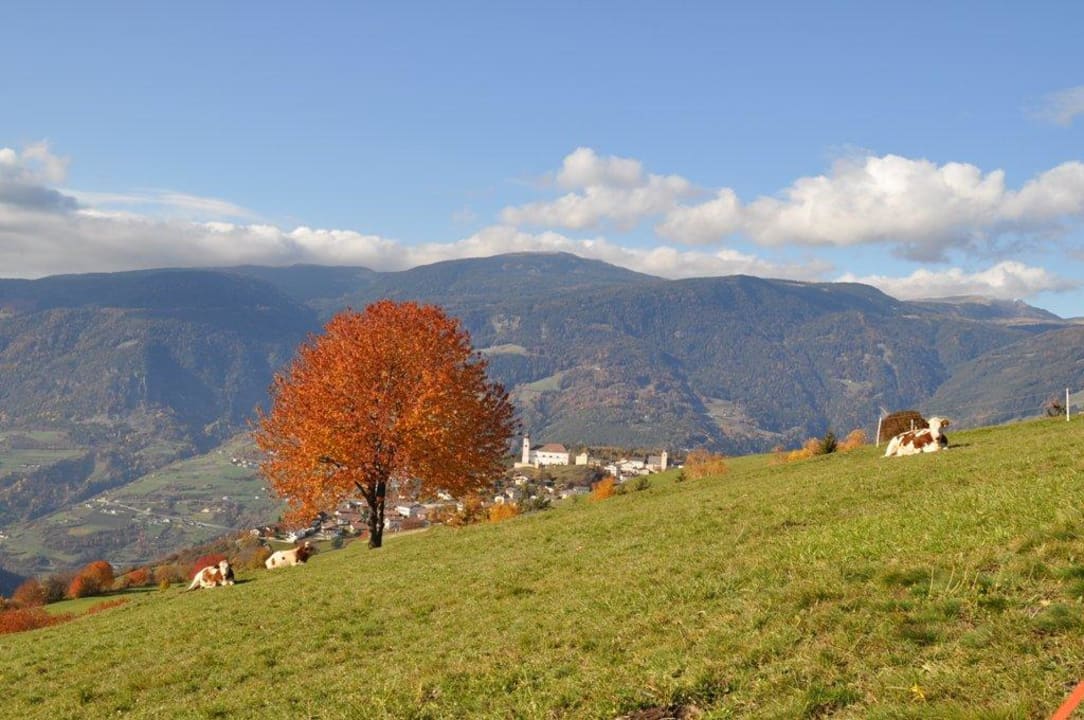 Il Paese di Laion Pension Hatzis