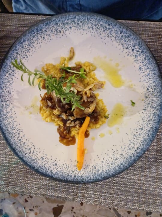 Gastro PALOMA Perissia