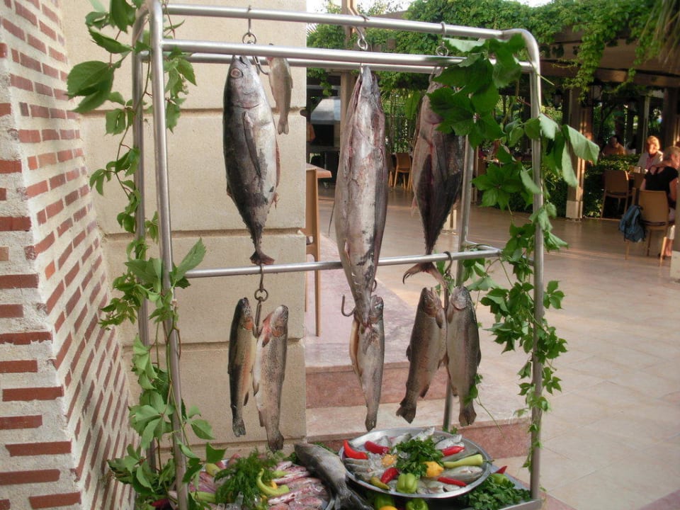 Fischtag Trendy Palm Beach (Adults Only, 16+)