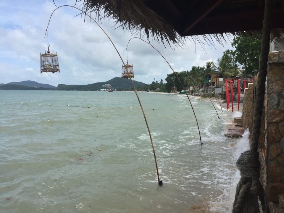 Ausblick Zazen Boutique Resort & Spa