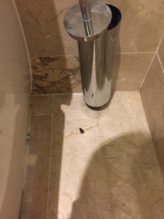 Zimmer Hotel Grand Palladium Palace Resort, Spa & Casino