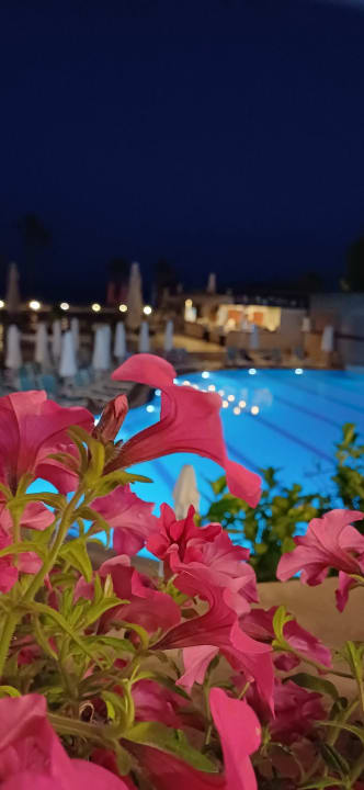 Pool Armas Gül Beach