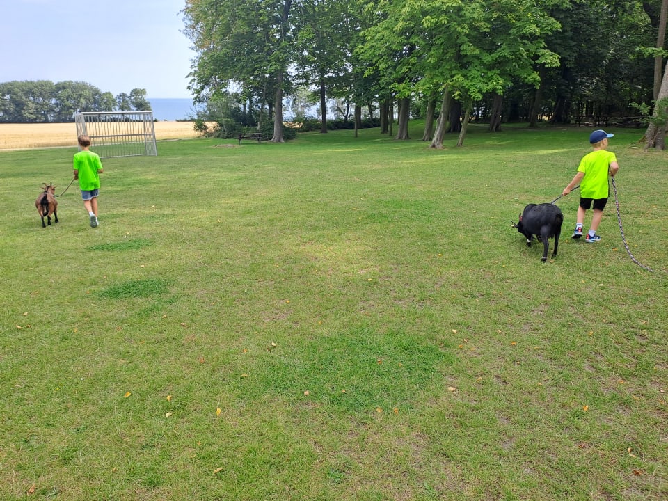 Gartenanlage Ferienbauernhof Liesenberg mit Meerblick