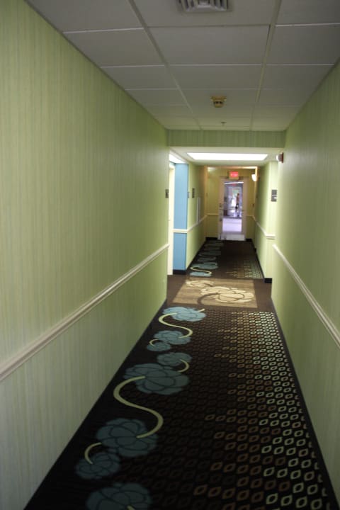 Bunter Flur Hotel Hampton Inn & Suites Venice