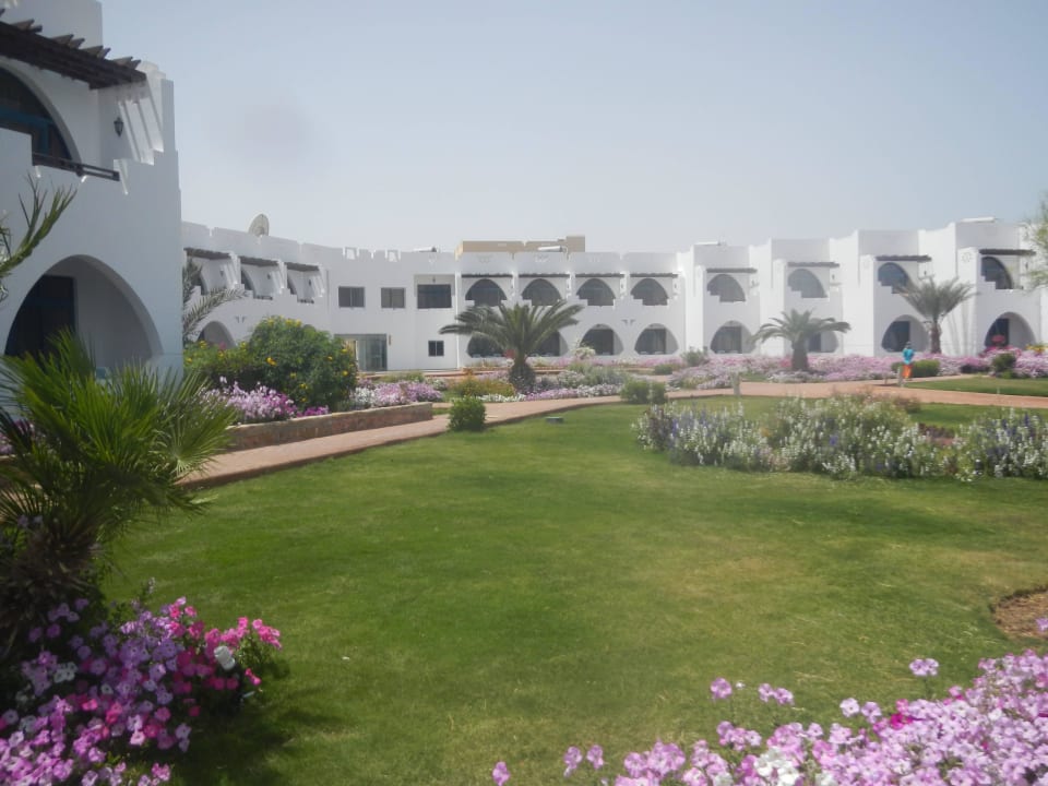 Blumenmeer Three Corners Equinox Beach Resort