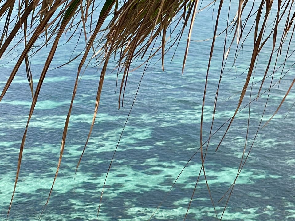 Ausblick Chalets Bougainville