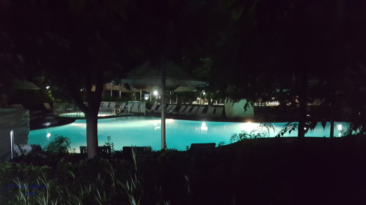 Pool Can Garden Beach