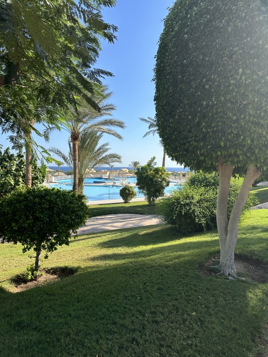 Ausblick Serenity Alpha Beach