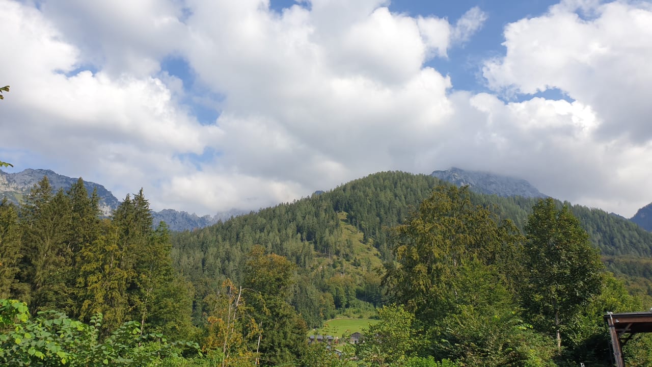 Ausblick Alm- & Wellnesshotel Alpenhof