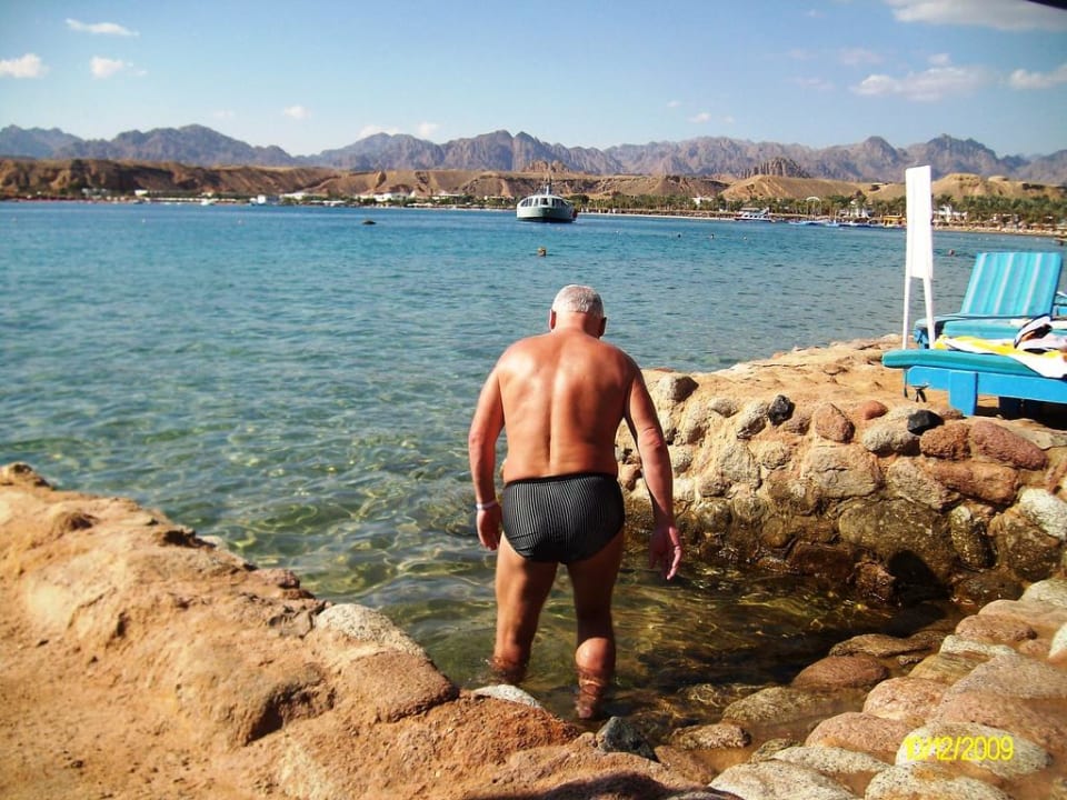 6-8 Stufen ins Meer Albatros Sharm Resort