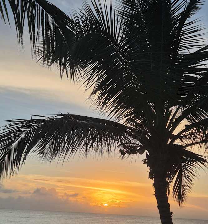 Strand Sunscape Dominicus La Romana