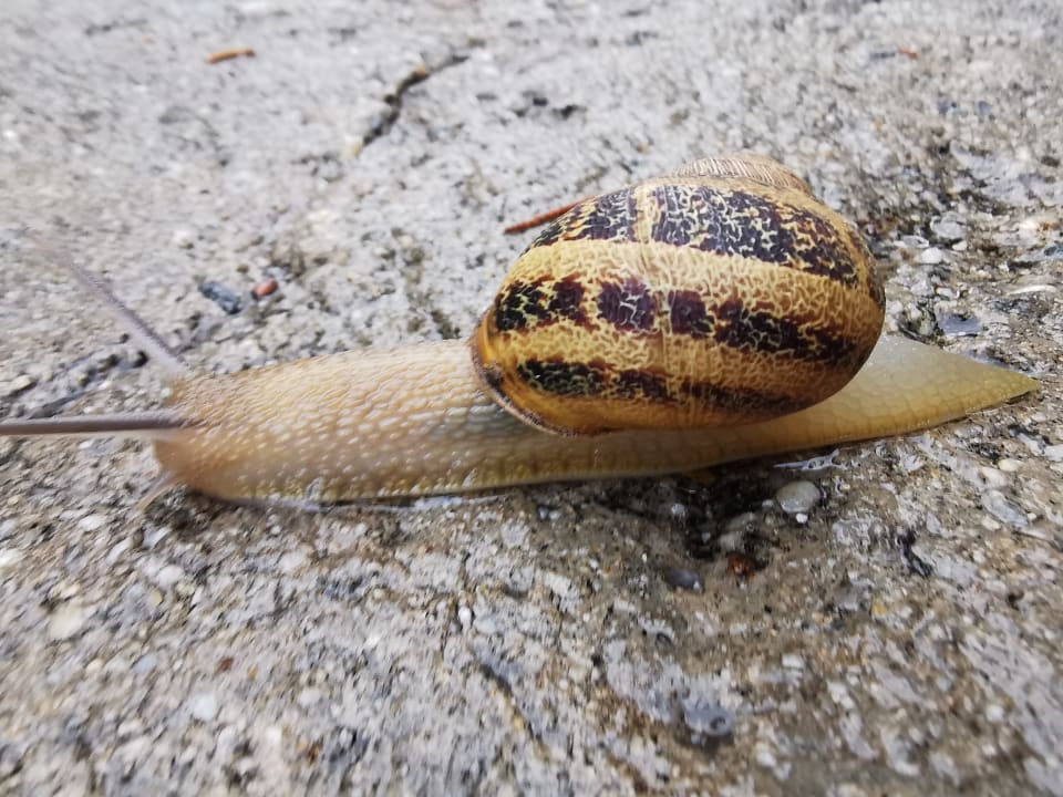 Gartenanlage Aldiana Club Rocca Nettuno Calabria