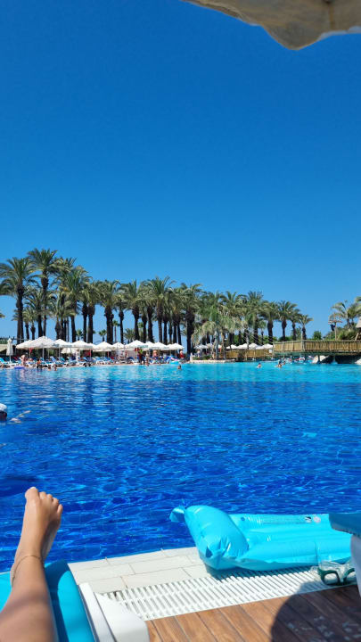 Pool AQI Pegasos World