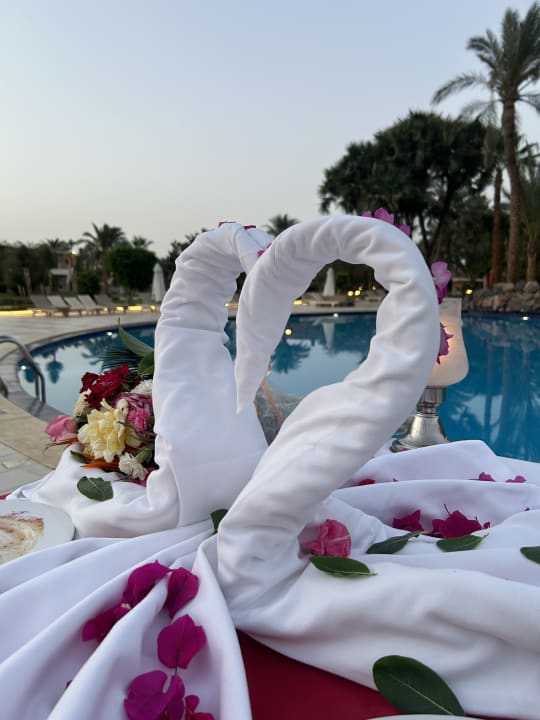 Gastro Brayka Bay Resort