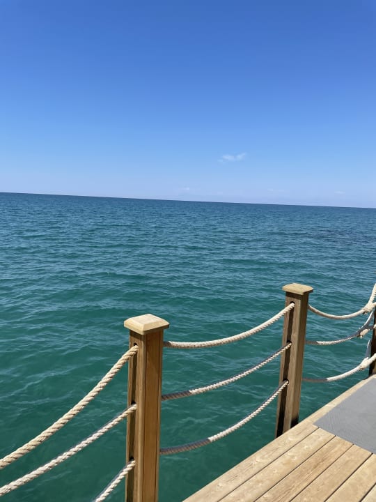 Strand Arum Barut Collection