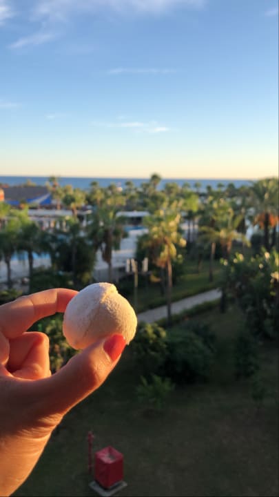 Gastro Calimera Serra Palace