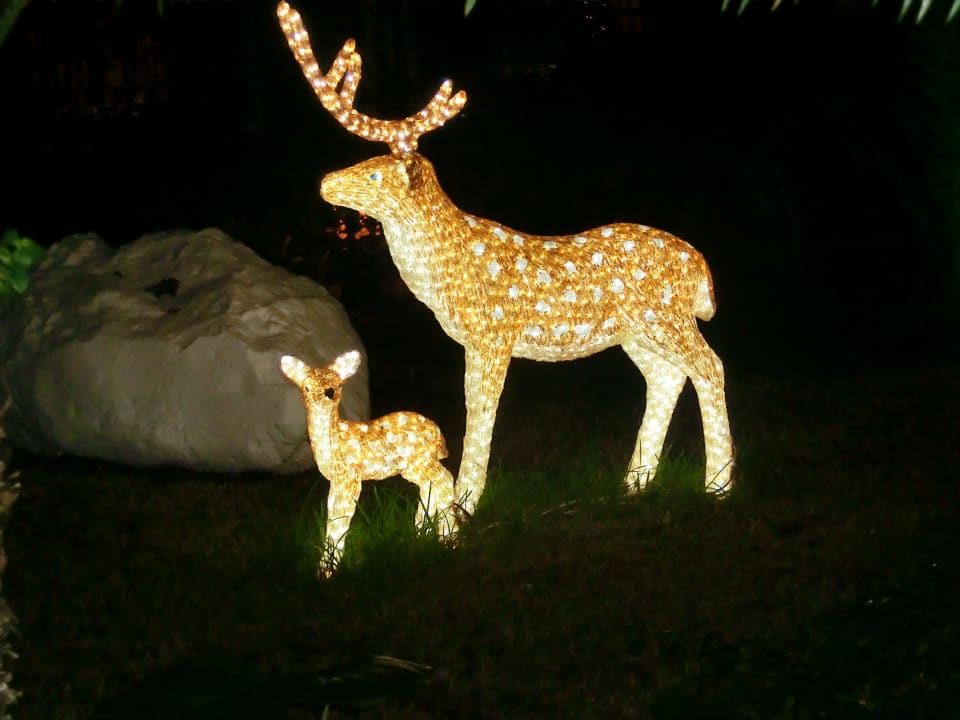 Im Advent im Garten Hotel Parque Tropical