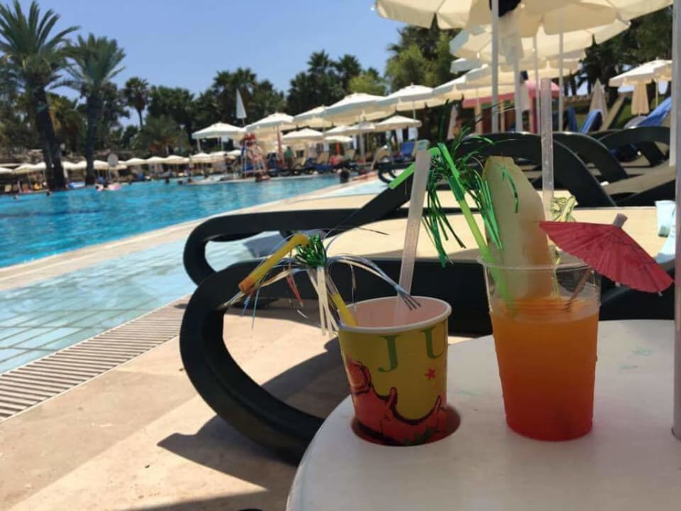 Drink Monachus Family Resort Sorgun