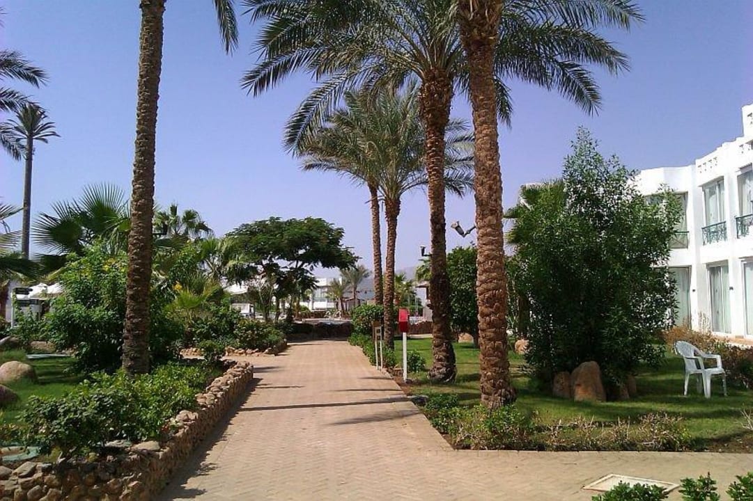 Aleja hotelowa Hotel Amarante Garden Palms Resort