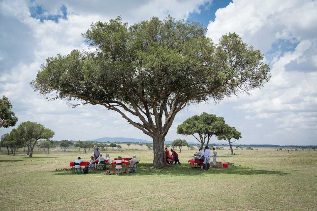 Mittagessen im Busch Royal Mara Safari Lodge