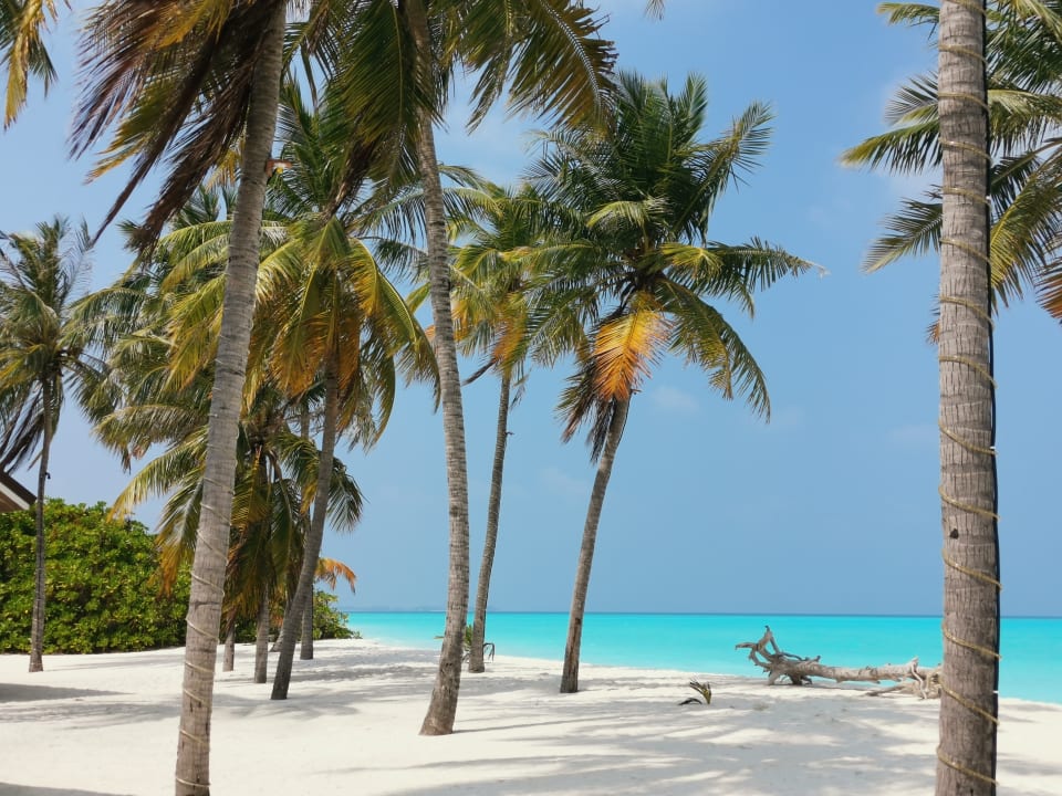 Strand Hondaafushi Island Resort