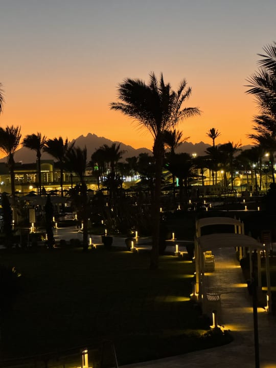 Gartenanlage Pickalbatros Dana Beach Resort - Hurghada