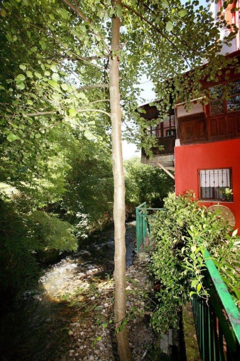 Exterior junto al Río Covadonga Hotel Rural El Molino