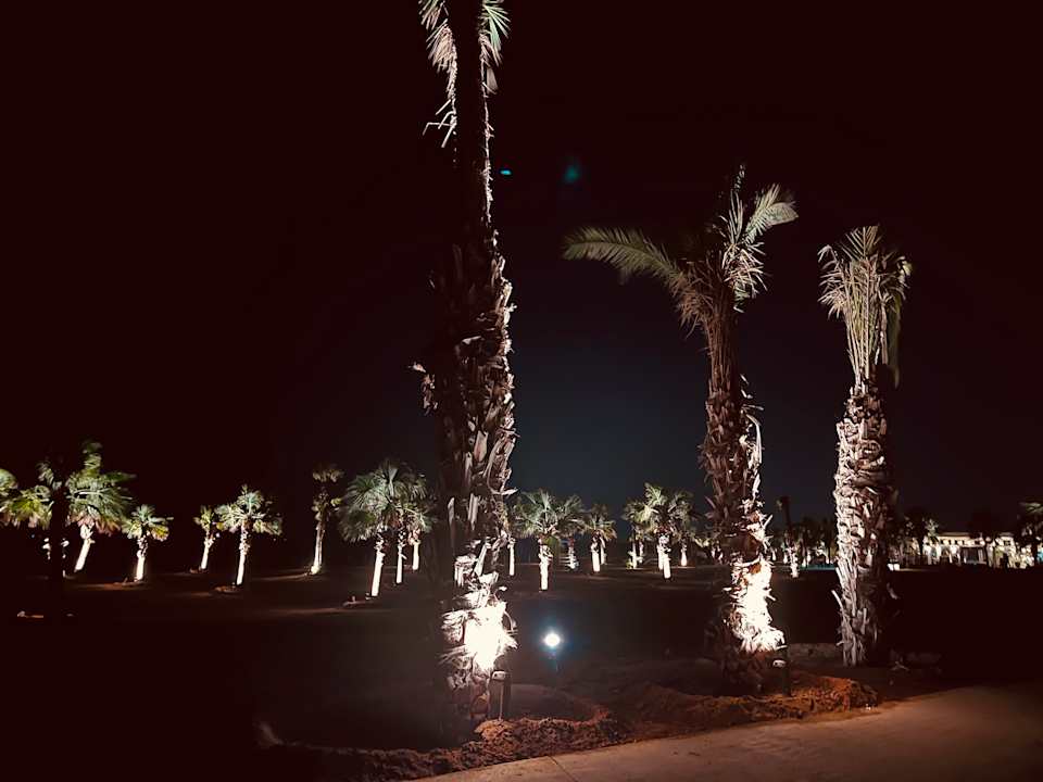 Strand Doubletree By Hilton Mangroovy El Gouna Resort