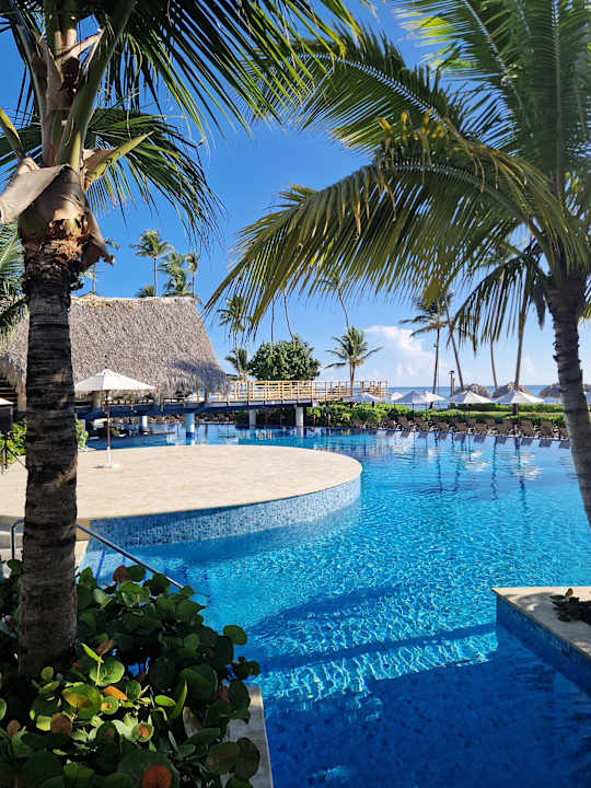 Pool Dreams Flora Resort & Spa - All Inclusive