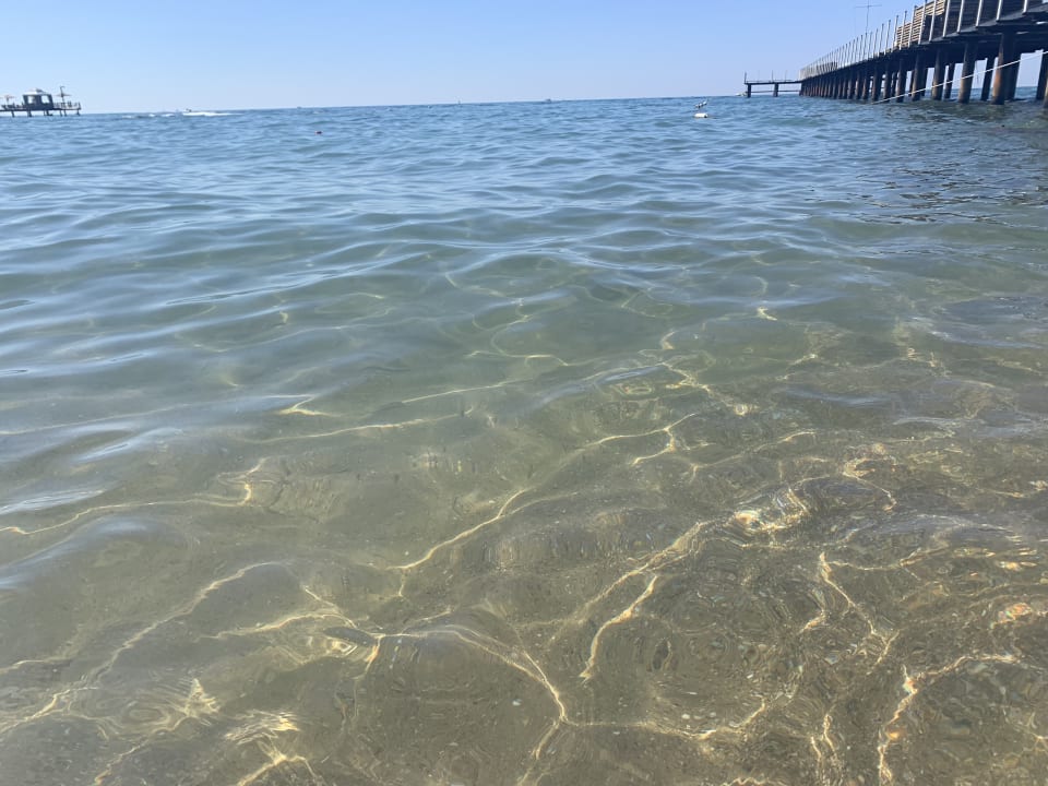 Pool Arum Barut Collection