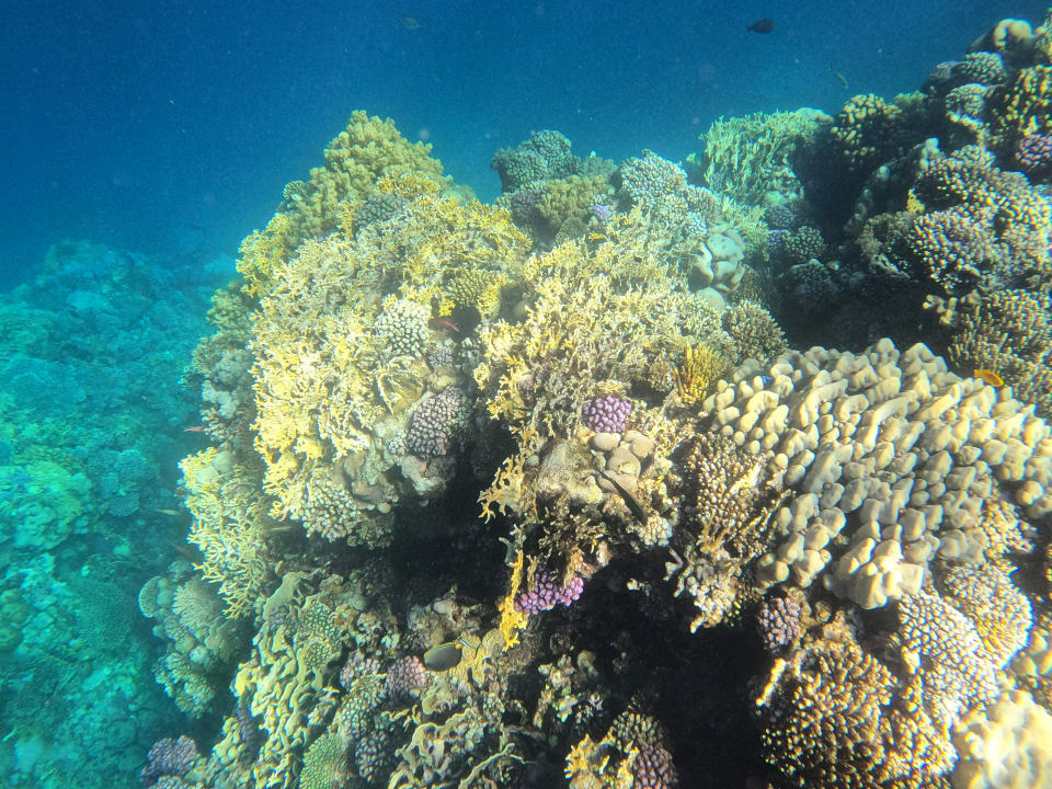 Strand Three Corners Happy Life Beach Resort