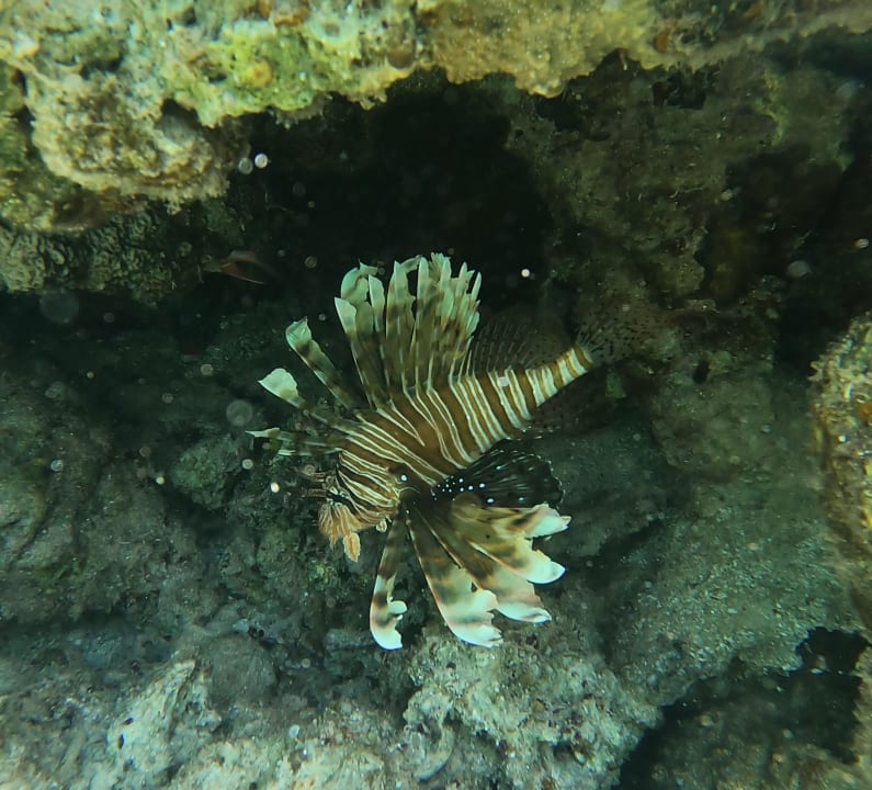 Strand Lazuli Hotel Marsa Alam