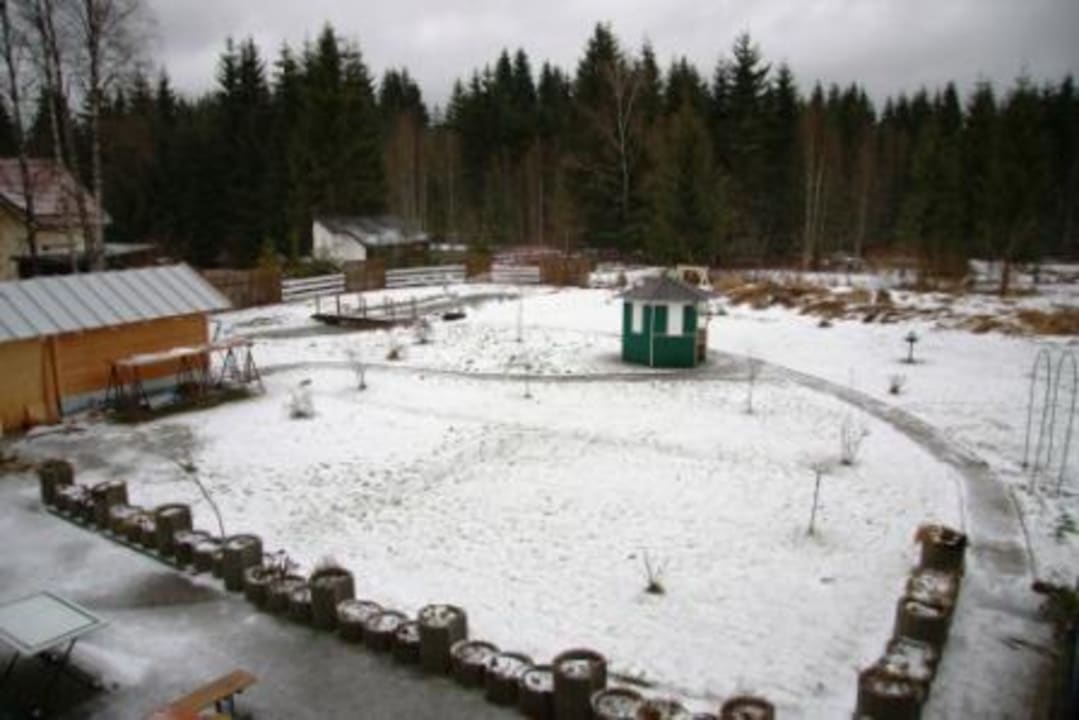 Liegewiese / Gartenanlage Hotel Bayernstern