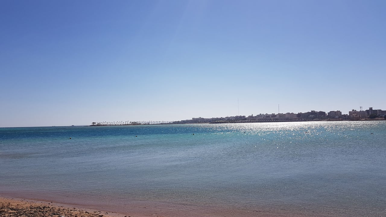 Strand Sea Star Beau Rivage