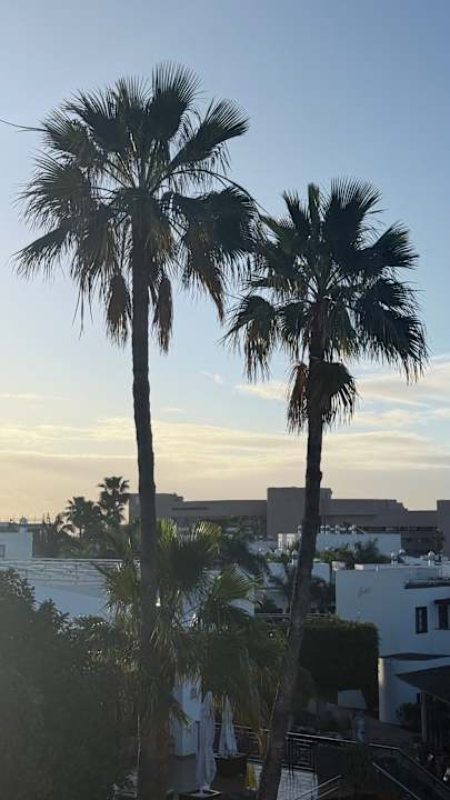 Ausblick allsun App.-Hotel Albatros