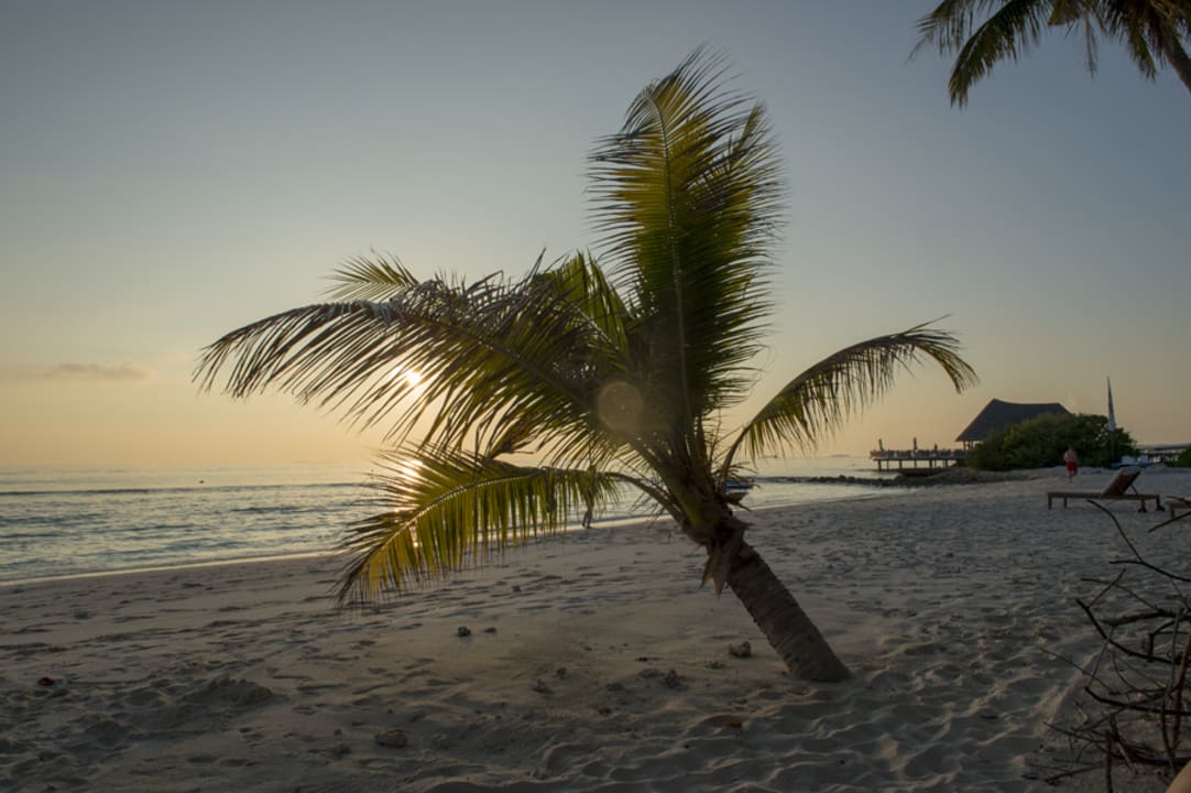 Strand Bandos Maldives
