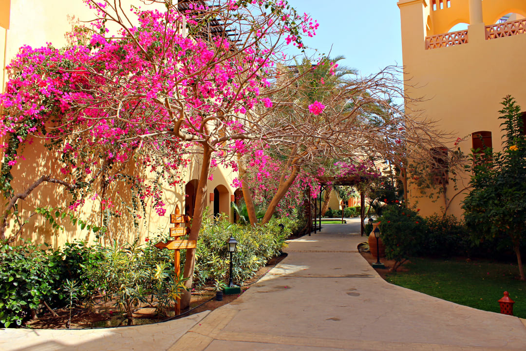 Gartenanlage Steigenberger Coraya Beach - Adults only