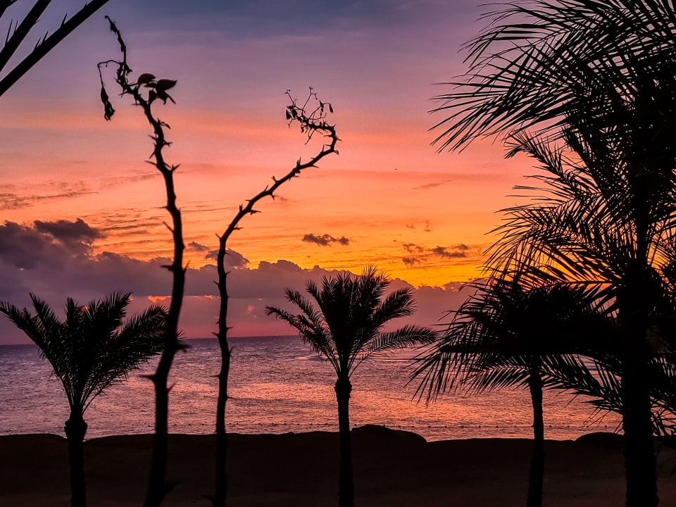 Gartenanlage Steigenberger Coraya Beach - Adults only