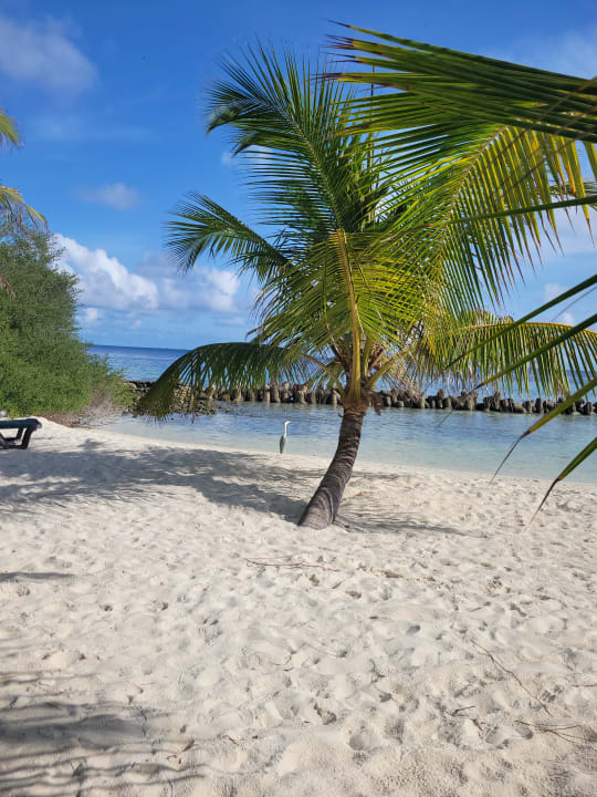 Strand Kuredu Island Resort & Spa
