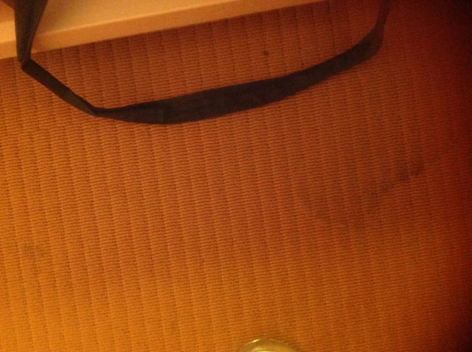 Der Teppich muss raus  Naturhotel Etzdorfer Hof