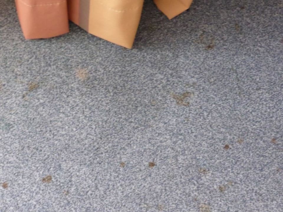 Der Teppich im Zimmer. ibis Styles Gelsenkirchen