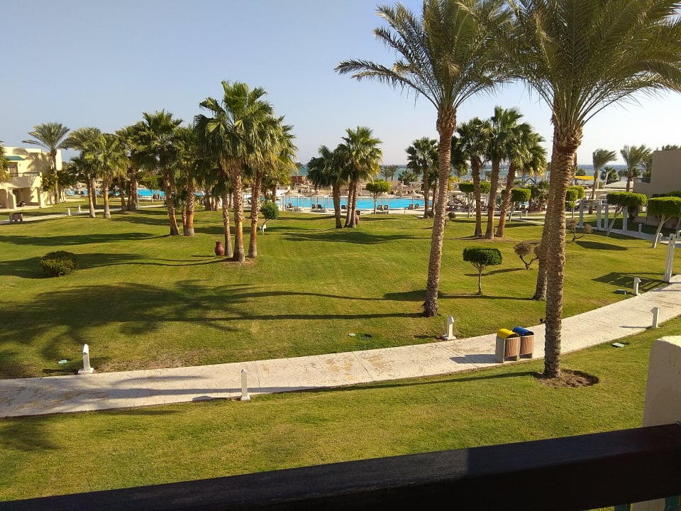 Gartenanlage Coral Sea Holiday Village