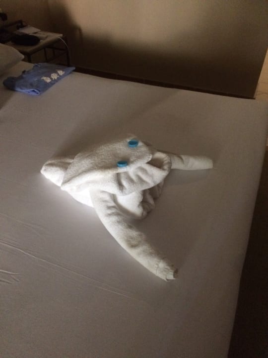 Zimmer Jaz Makadi Oasis Resort