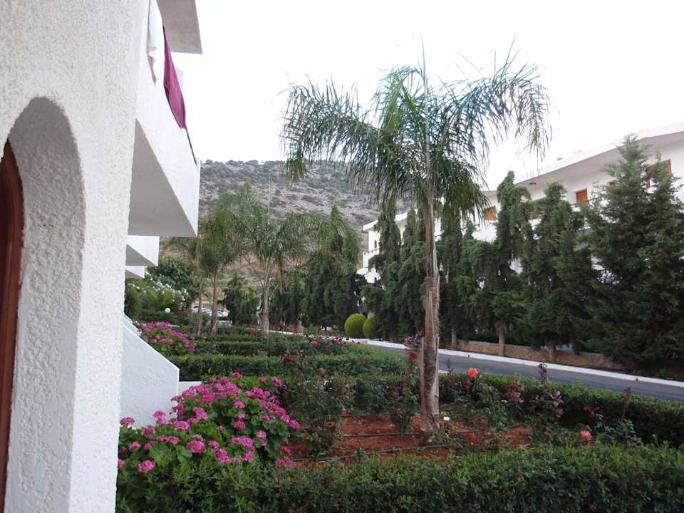 Vor unserem Zimmer Sentido Kyknos Beach Adults Only 16+