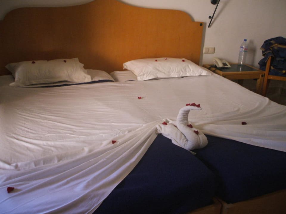 Immer ein Traum El Ksar Resort & Thalasso