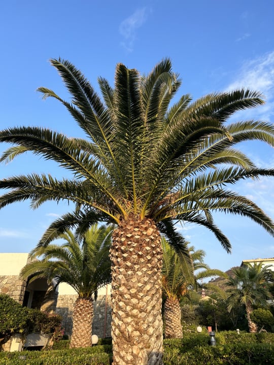 Gartenanlage Aldiana Club Rocca Nettuno Calabria