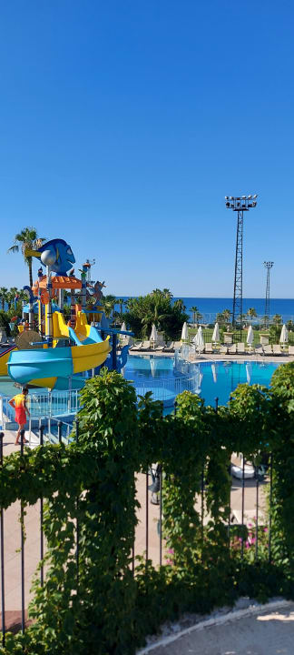 Sport & Freizeit Kamelya Aishen Club